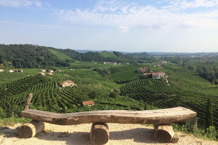 Prosecco - Wine tour & tasting - Full day in the Prosecco region image