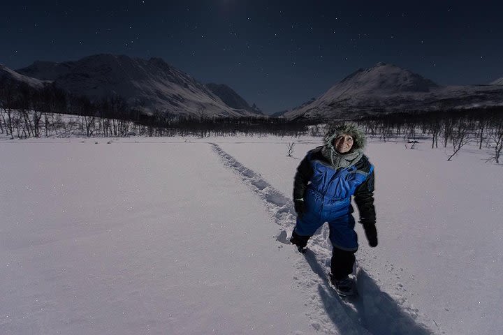 Star Walk Night Snowshoeing Tour from Tromso image