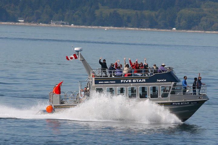 Whale-Watching Cruise with Expert Naturalists image