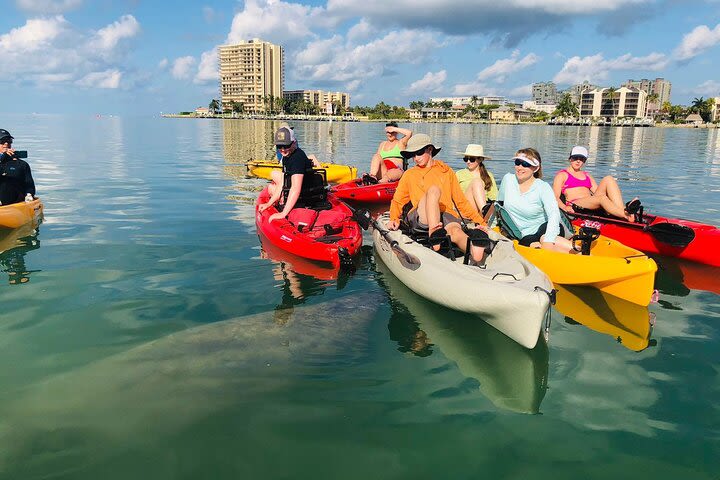 Ten Thousand Islands Eco Tour and Shelling with Hobie Kayak (with pedals) image