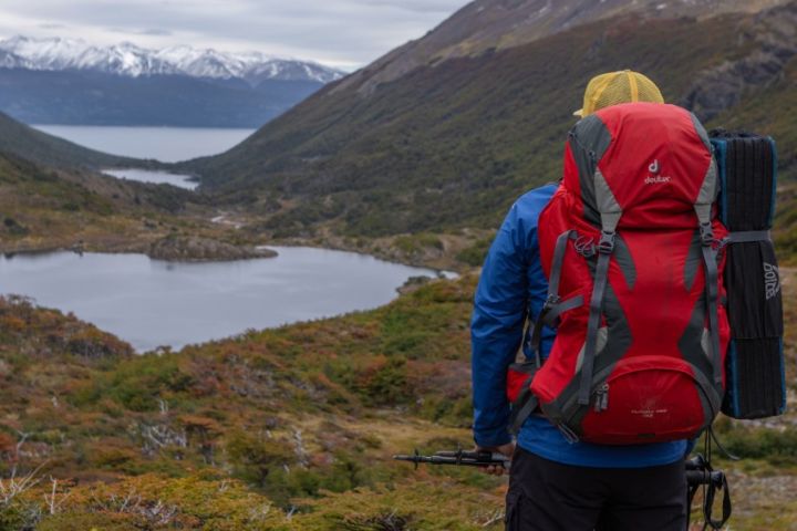 Dientes de Navarino: El Tour Más Austral del Mundo image
