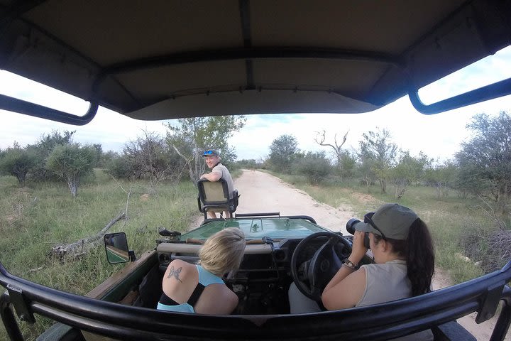 6 Day Budget Kruger National Park Safari image