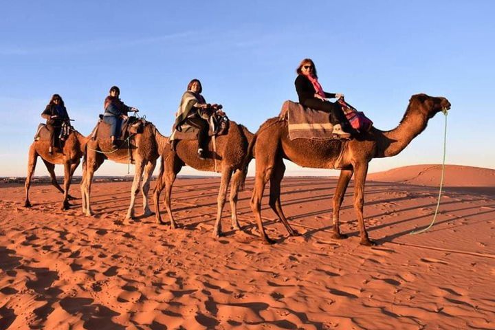 Trip To Sahara Days 3 / 2 Nights From Fez To Marrakech ( Luxury ) image