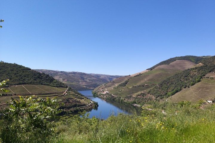 Foz Côa and Douro. Be enchanted by rock carvings and drink the best wines image