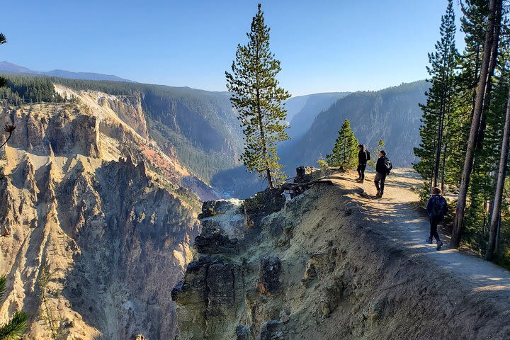 Grand Canyon of the Yellowstone Rim and Loop Hike with Lunch image