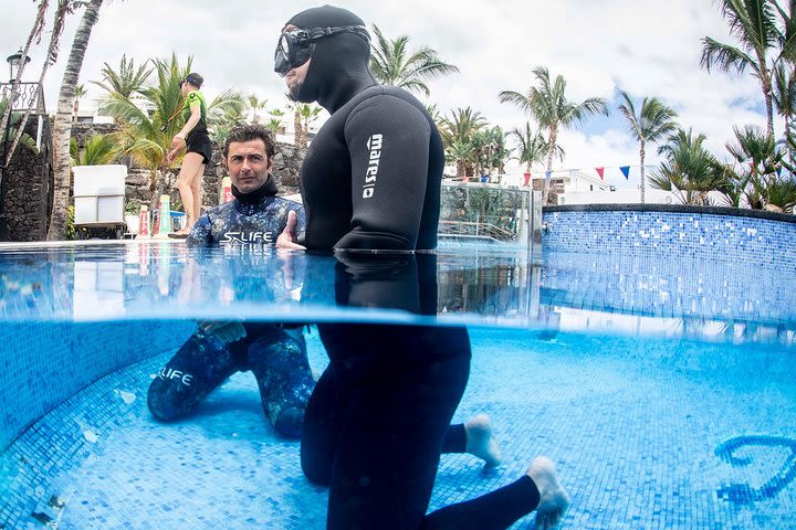 Freediving Courses image