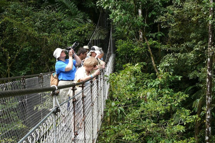 Yoga in Costa Rica a Wellness Experience 8 Days / 7 Nights image