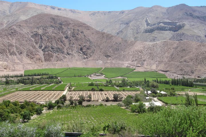 Elqui Valley and Vicuña Private Tour Including Lunch image