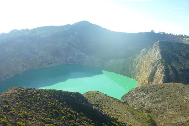 Flores Komodo Tour Packages image