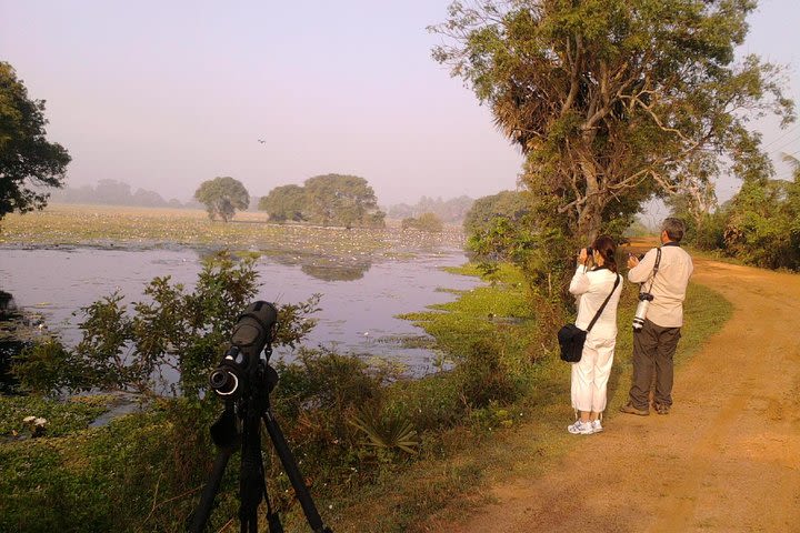 Nature Tour image