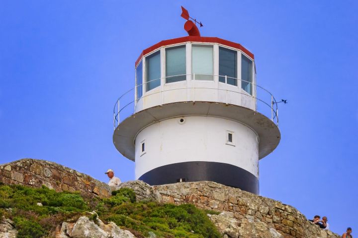 Table Mountain & Cape Point Adventure image