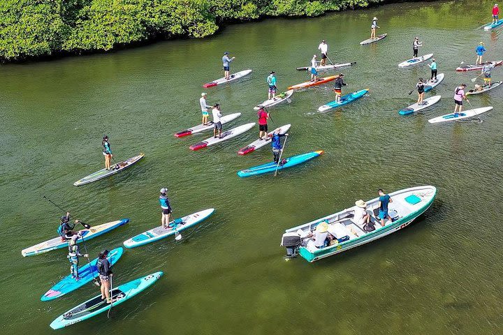 Caribbean Stand Up Paddle Day Trip image