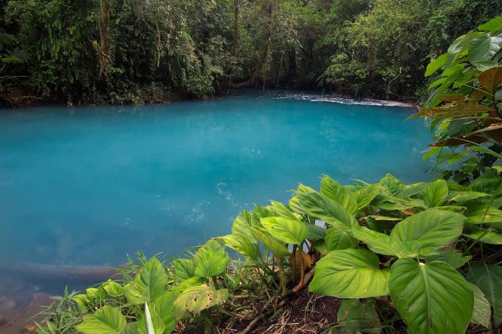 Blue River and Tenorio Volcano National Park Hike image
