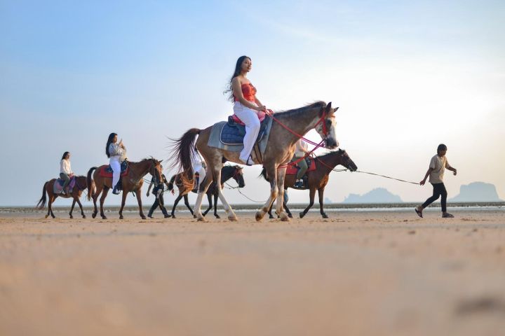 Krabi Beach Horseback Riding Adventure image