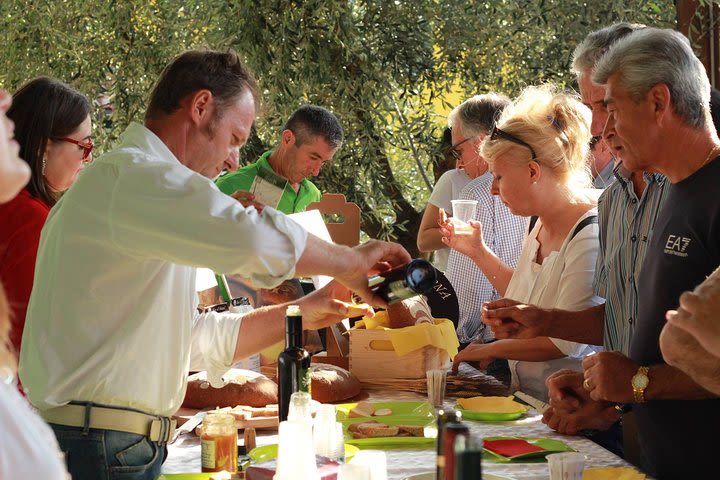 Olive Oil & Wine in the Euganean Hills image