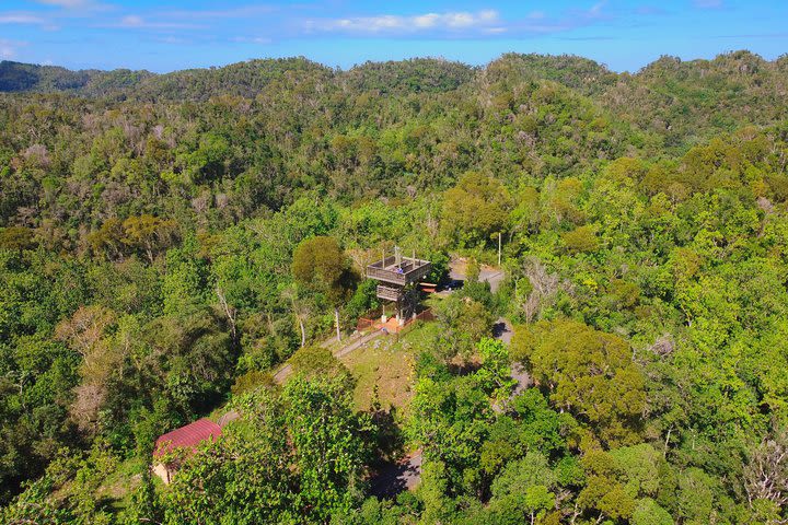 Forest Hiking and Underground Cave Full Day Adventure in Puerto Rico image