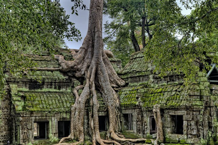 Angkor Wat Temples Sunrise & Stilt-Houses Village image