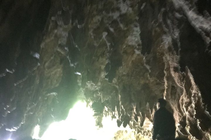 Waitomo Caves Adventure from Auckland or Rotorua image