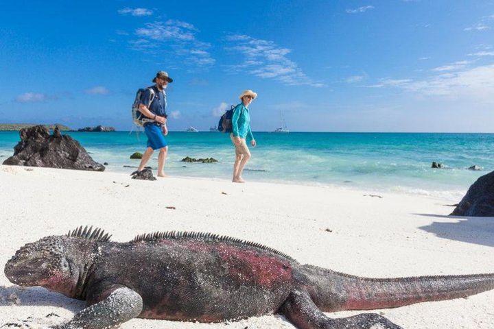 4 Days Galápagos Island Hopper: Santa Cruz and Isabela Islands image