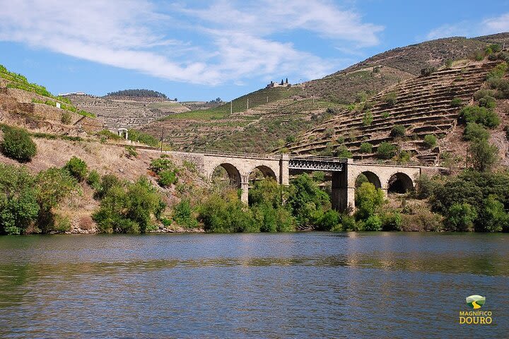 1-Hour Rabelo Boat Trip in Pinhão image