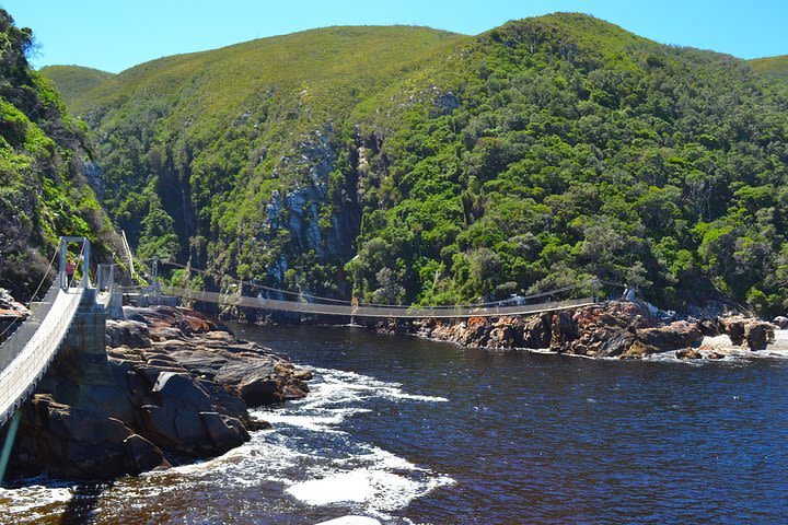 5-Day Garden Route Adventure Guided Tour from Cape Town image