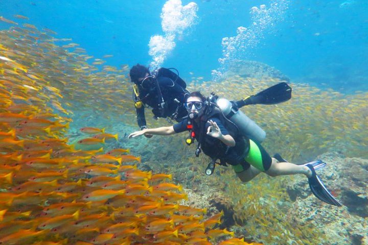 Discover Scuba Diving image