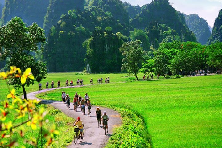 Hoa Lu - Tam Coc 1 day tour image