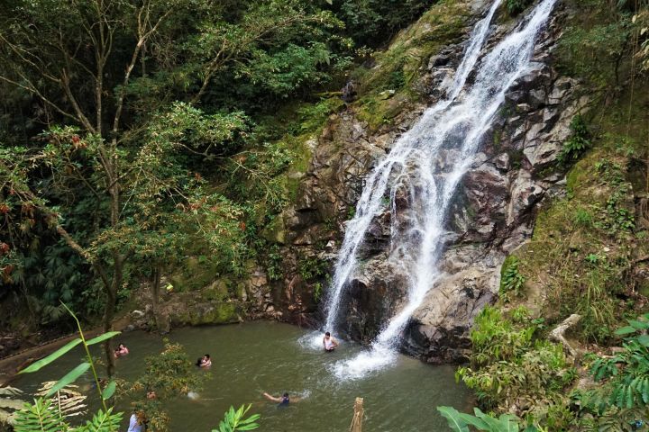Minca Waterfalls & Coffee Farm Tour image