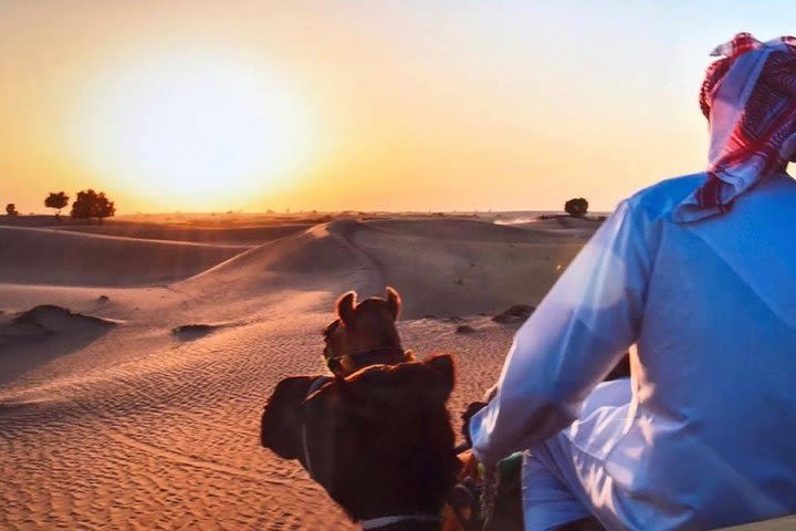 Desert Experience: 4x4 Dune Bashing, Camel Riding, BBQ Dinner, Live Shows image