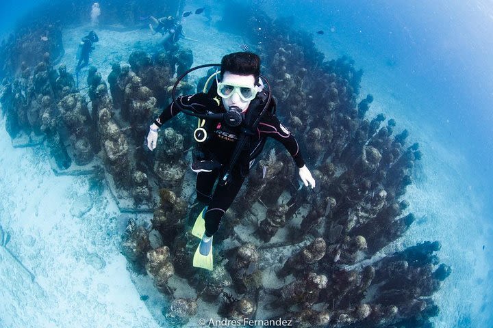 2 Tank Dive MUSA and Manchones Reef image