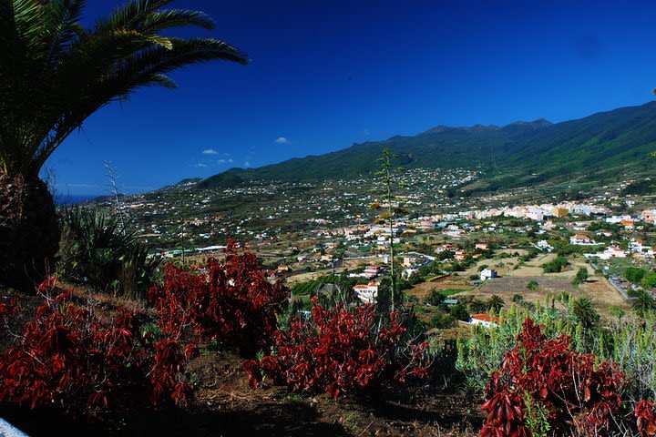 Special Cruise Tour Northeast of La Palma (Price per car, not per person) image