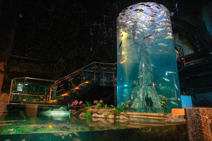 Aquaria KLCC image