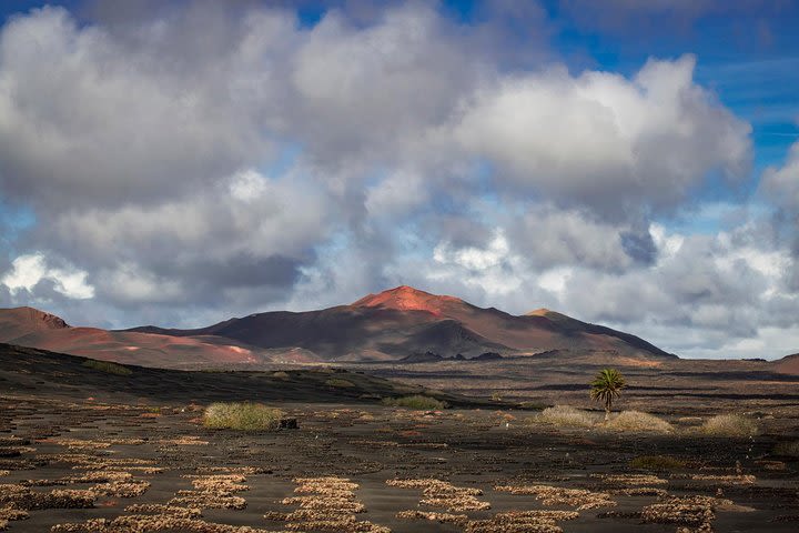 4-Hour Photography Tour in Southern Lanzarote image