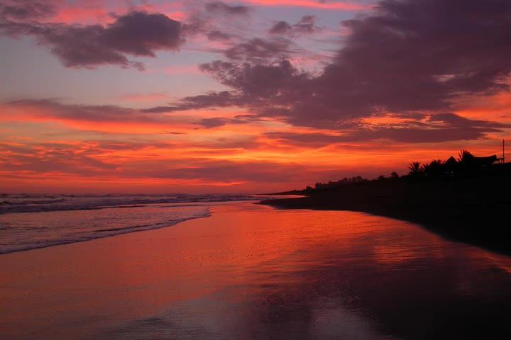 Surf Lessons in El Paredon on the black sand Pacific beach of Guatemala image