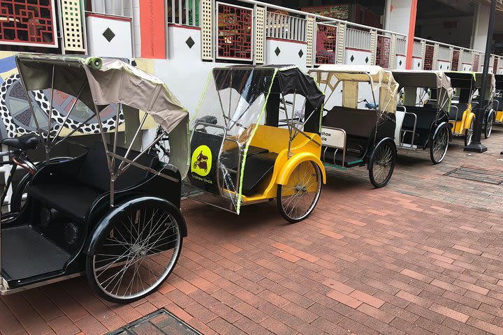 Singapore Heritage Tour with Trishaw Ride image