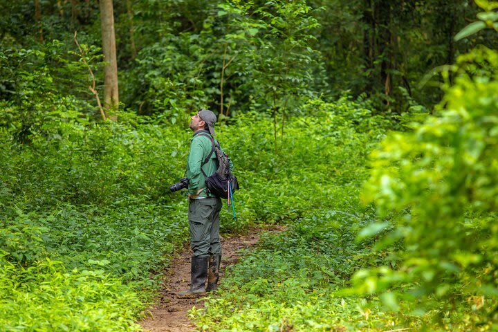 The Howling Trail Hike  image