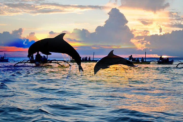 Bali Dolphin Watching Tour in Lovina Ocean image