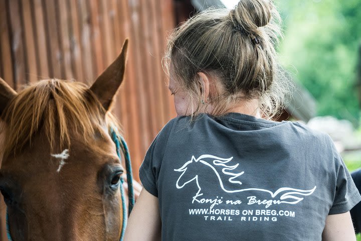 Horseriding in the beautiful nature image