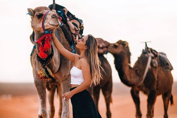 Marrakech sunset Camel Ride image