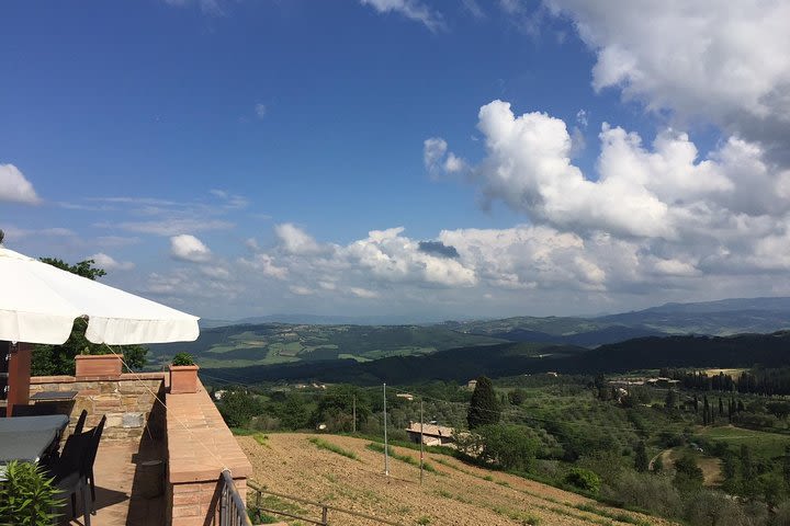 Brunello di Montalcino, small biodynamic wineries image