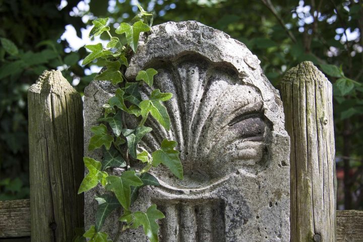 Vigo Santiago de Compostela Shore Excursion with Guide image