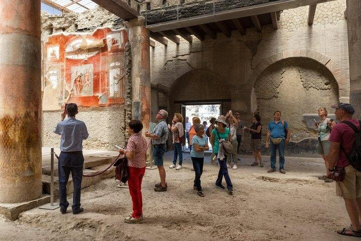 Private Transfer & Herculaneum Tour image