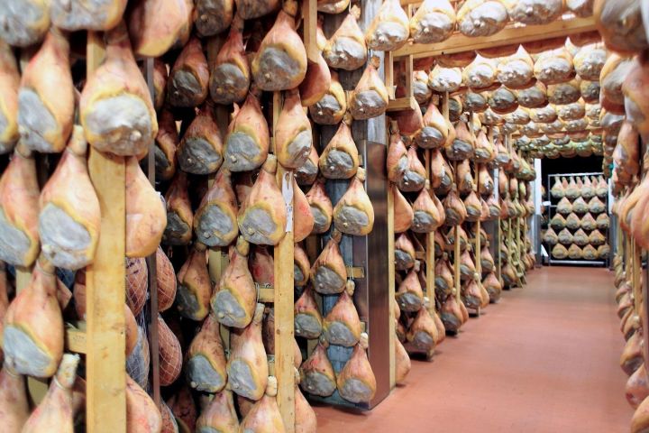 Emilia-Romagna Culinary Delights Tour image