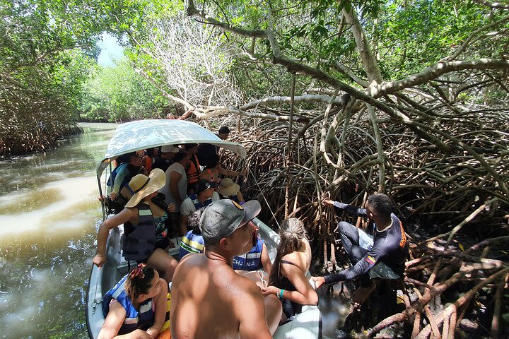 Full-day Magic Tour in Isla de Barú image