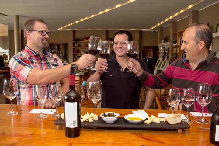 Private Tour: Viña del Mar and Valparaíso Tour with Wine Tasting in Casablanca Valley image