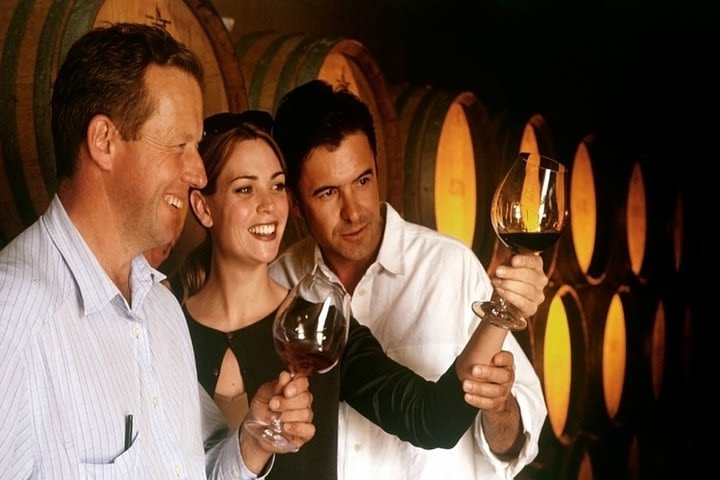 Livorno shore excursion: Tuscany countryside - Private 3 Wineries Chianti and Supertuscan tour with & light lunch image