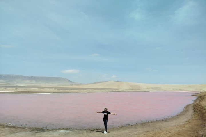 Paracas National Reserve Half-Day Tour image