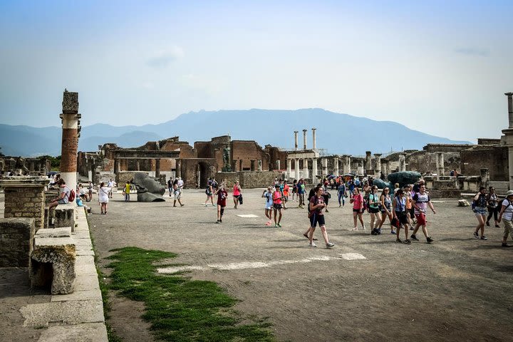 From Naples: Pompeii private tour with lunch at the slopes of Mt Vesuvius image