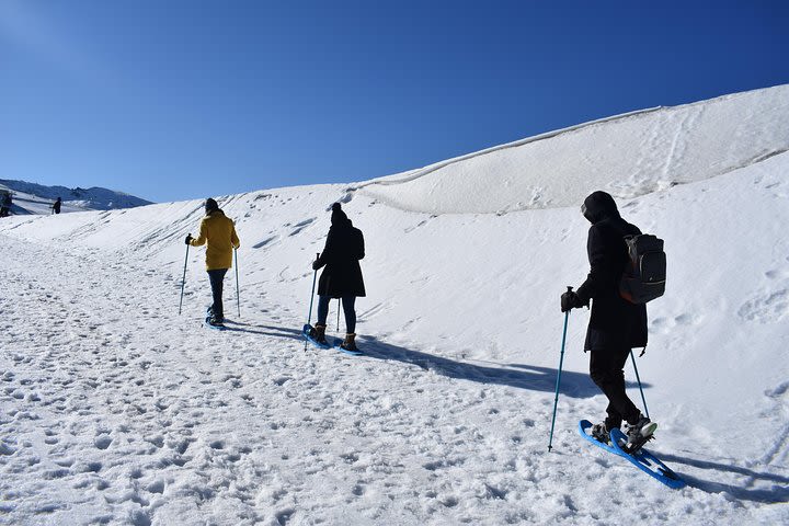 Hiking with snowshoes in Sierra Nevada for beginners (Granada) image