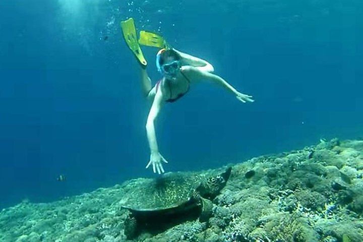 Gili Island Lombok One Day Snorkeling Tour image